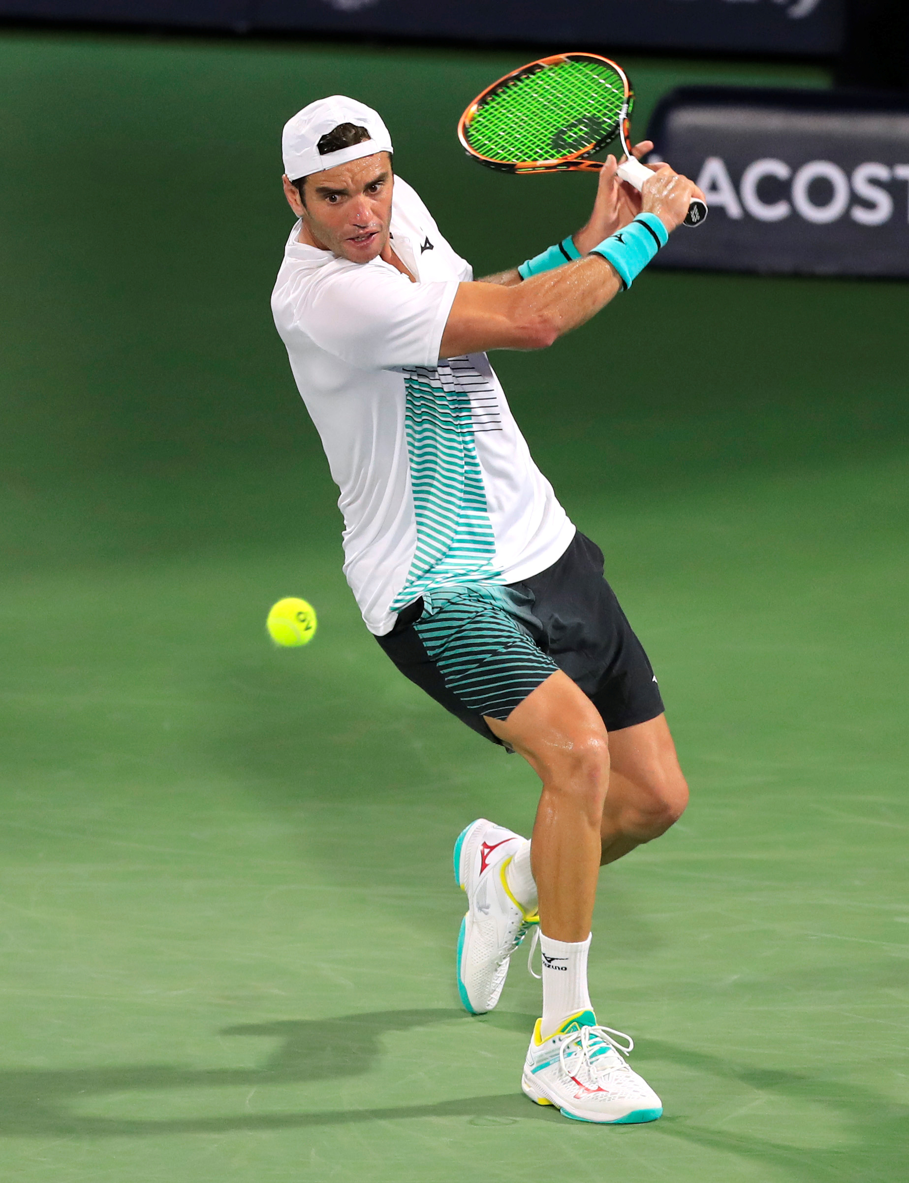 及草皮出现 及草皮出现